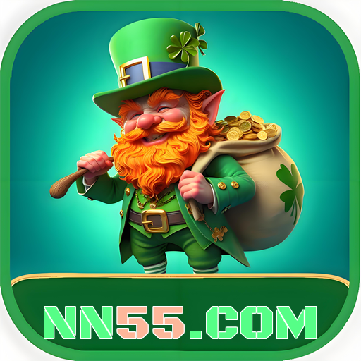 nn55.com logo